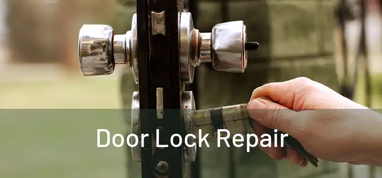 Door Lock Repair